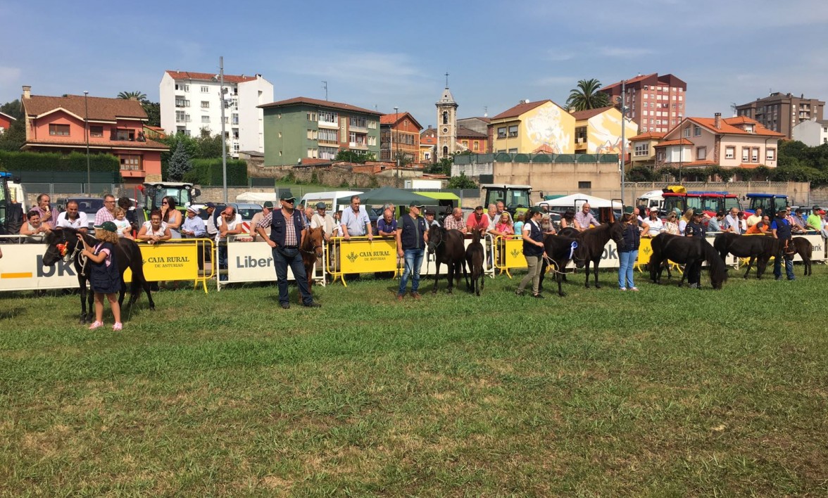 FERIA DE SAN AGUSTÍN EN AVILÉS